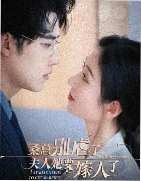 免费观看电视剧全集 午夜列车 海报
